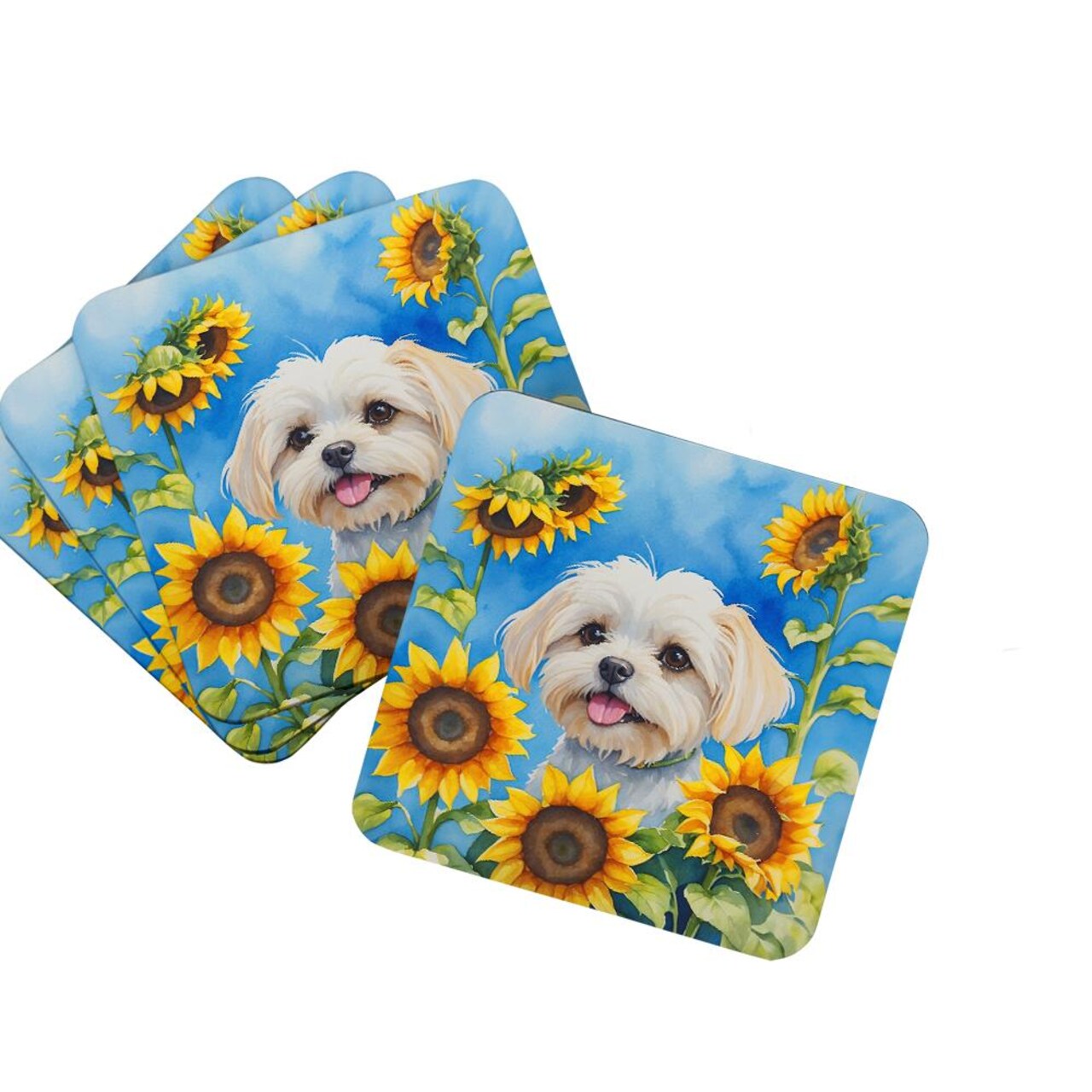 Edge Collections - Multicolor - Exotic Beach Car Coasters Set for Vehicles